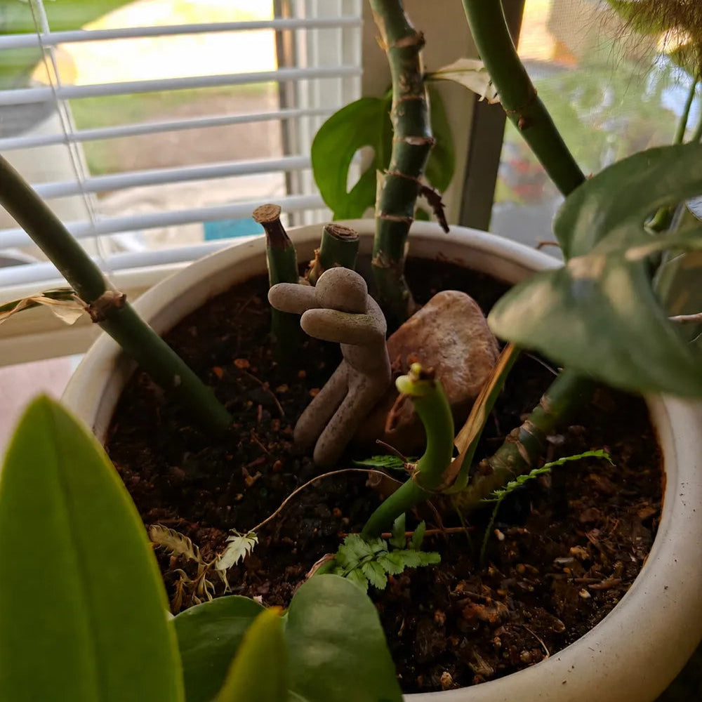 Meccha Chameleon