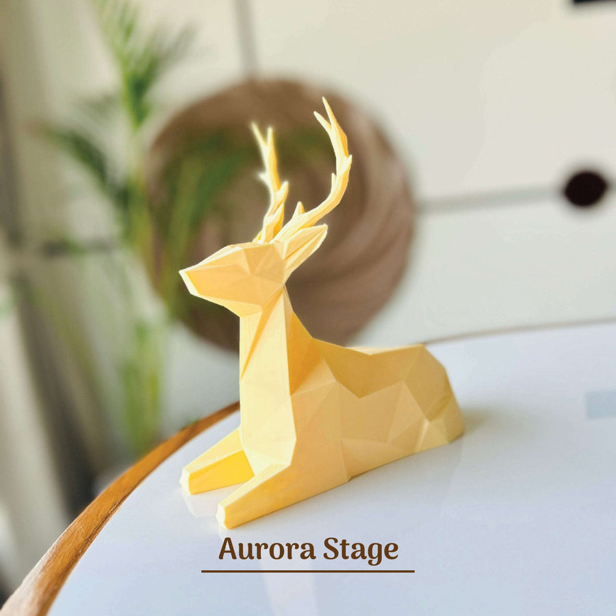 Aurora Stage