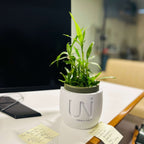 Modern Planter - Unisculp