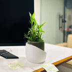 Modern Planter - Unisculp